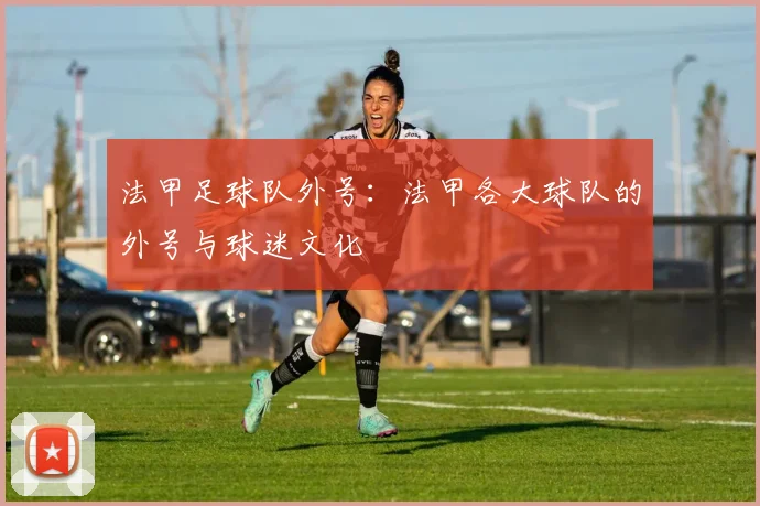 法甲足球队外号：法甲各大球队的外号与球迷文化