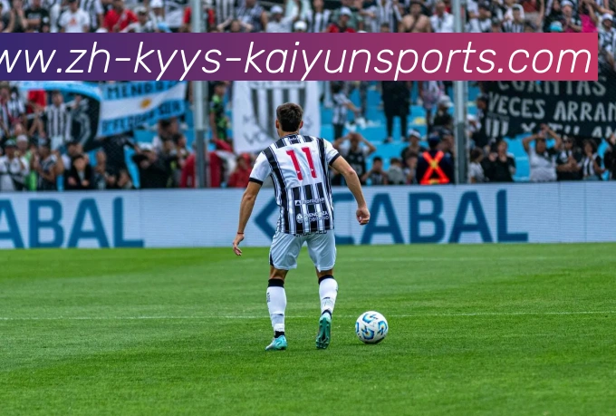 ky开云平台生态图