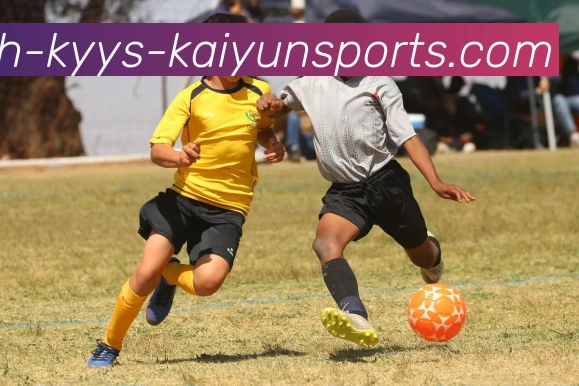 ky开云APP 封面图